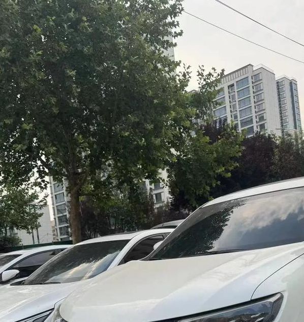 日产2021免费一二三四区