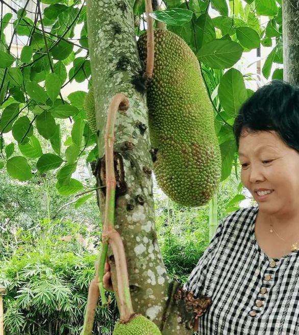 菠萝菠萝蜜视频在线观看完整版3