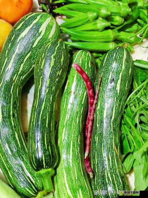 茄子草莓香蕉丝瓜秋葵最新版免费