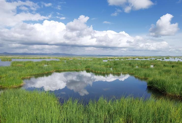 青春草原app在线安装