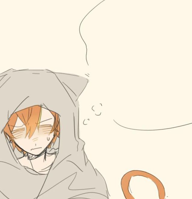 男生说的p站是什么意思啊