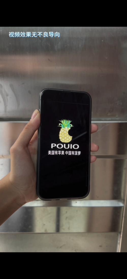 大菠萝app入口新版