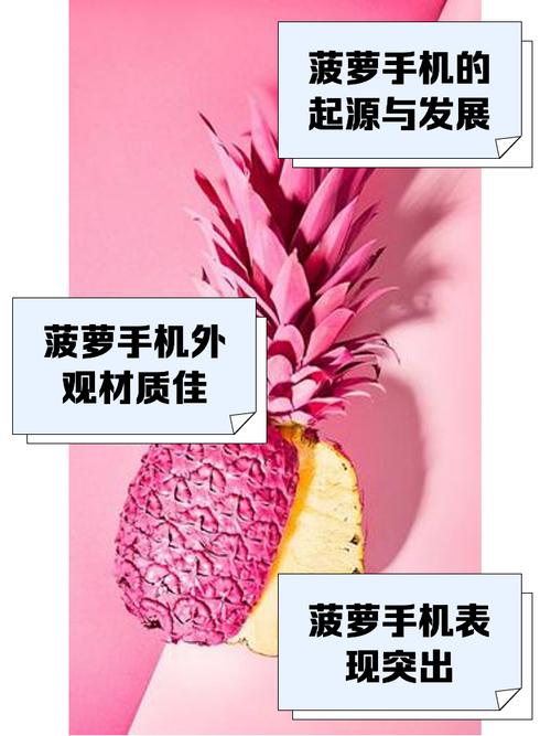 大菠萝app入口新版