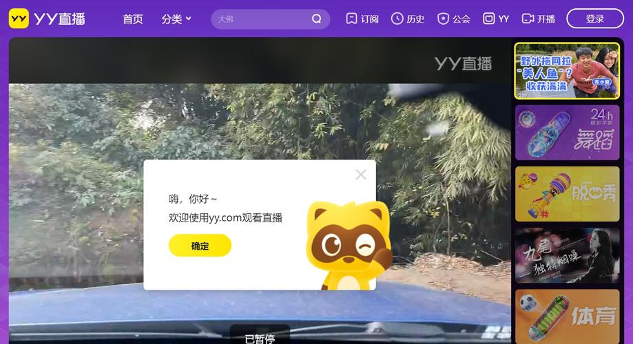 yy4800免费观看高清