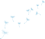 蒲公英研究所免费进入