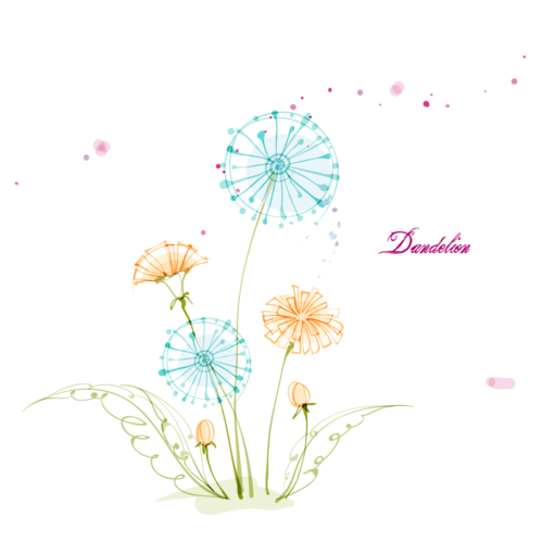 蒲公英研究所免费进入