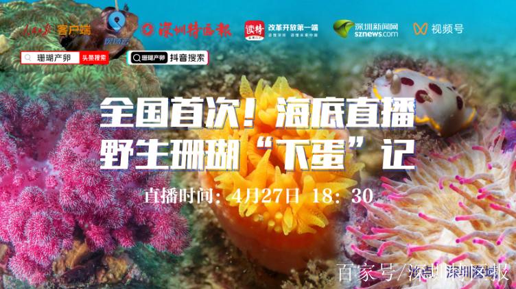 珊瑚直播平台苹果下载