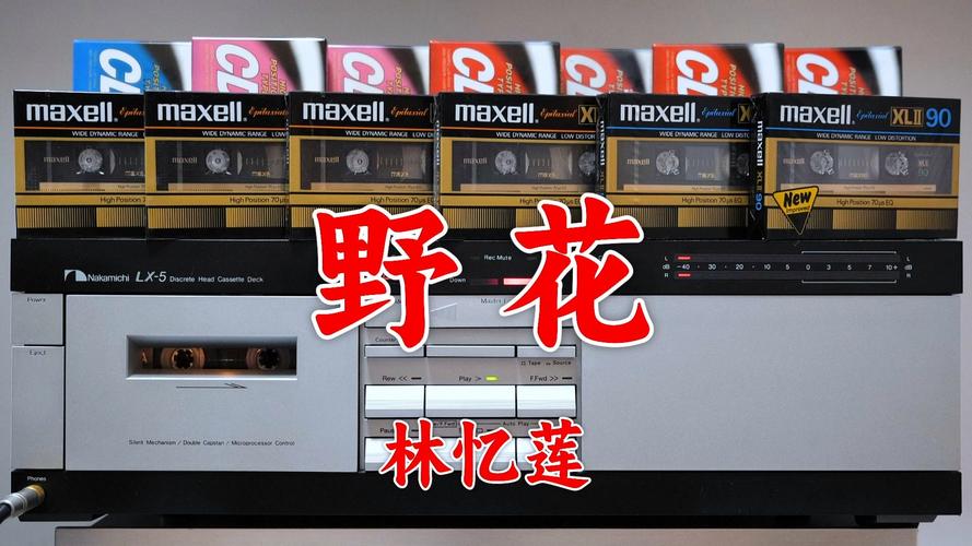 磁力野花社区影视