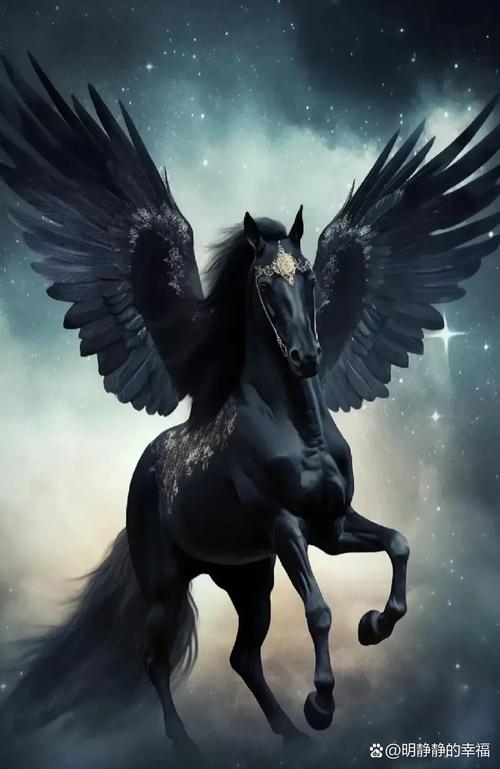 黑马动漫手机版