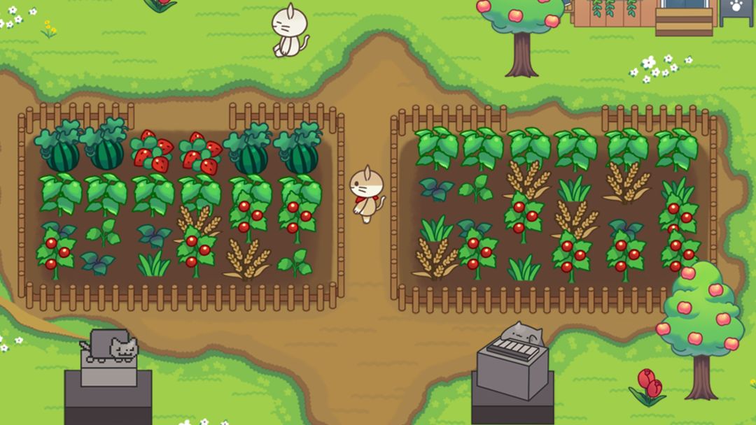 猫咪露营地最新版