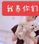 小奶狗app福引导2021