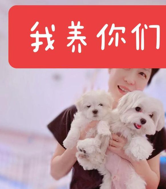 小奶狗app福引导2021