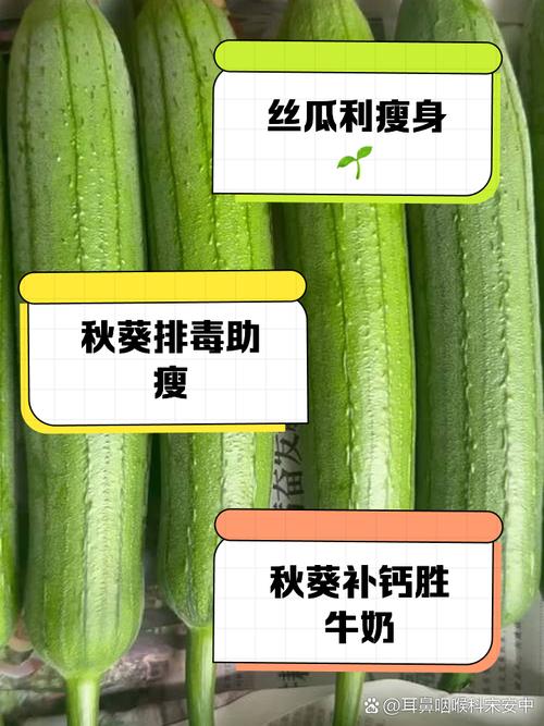 秋葵 茄子 丝瓜 绿巨人在线