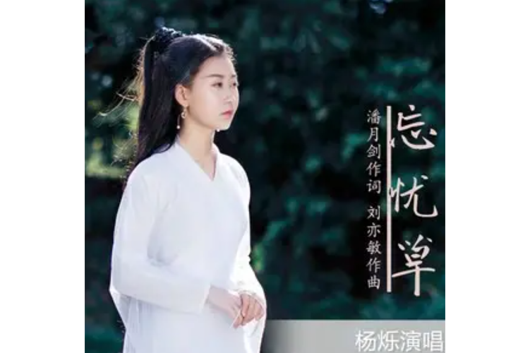 忘忧草在线观看视频播放免费