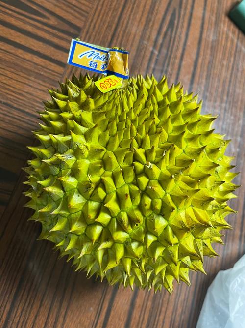 榴莲下载汅api免费