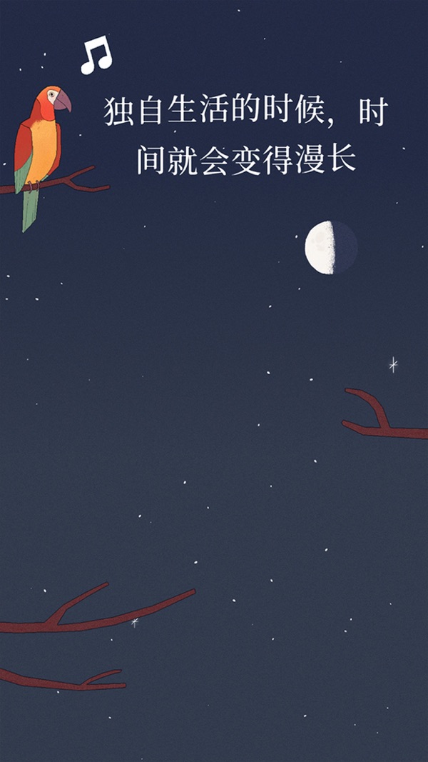 孤独的鸟儿正版