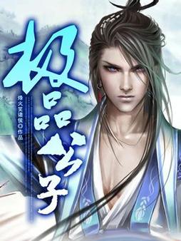 极品公子txt下载