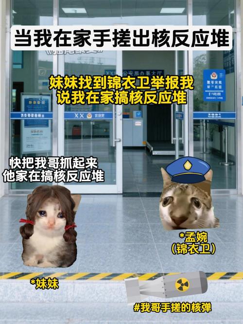 直播在荒野手搓核聚变