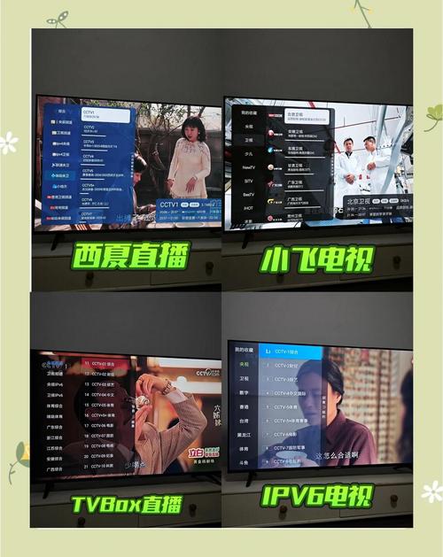 小公举直播app