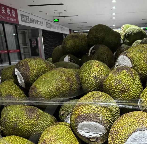 菠萝蜜麻豆一区