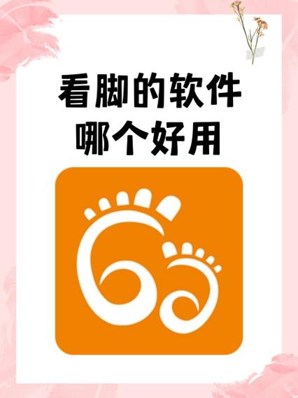 国产足jiao视频在线观看网址