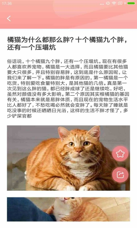 宠物公社最新版