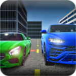 真实世界驾驶员中文版