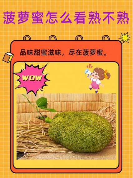 菠萝蜜视频在线观看入口无限看