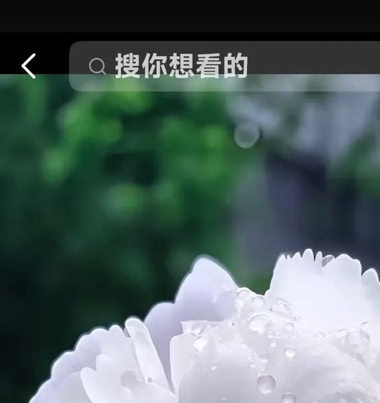 下载最新版的牡丹直播