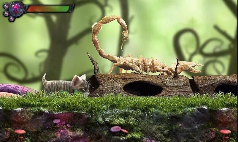 猫咪追寻安卓官方版最新