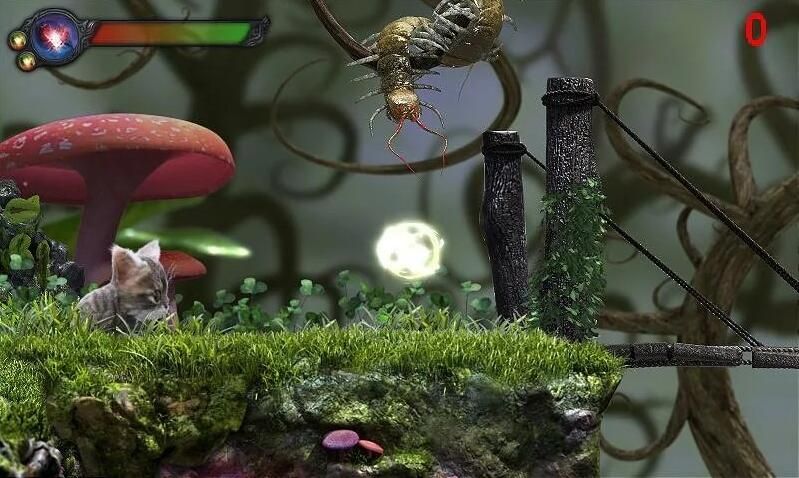 猫咪追寻安卓官方版最新