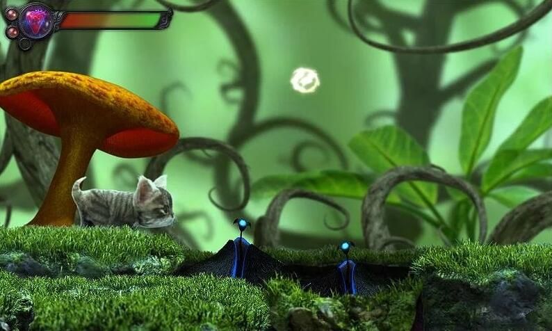 猫咪追寻安卓官方版最新