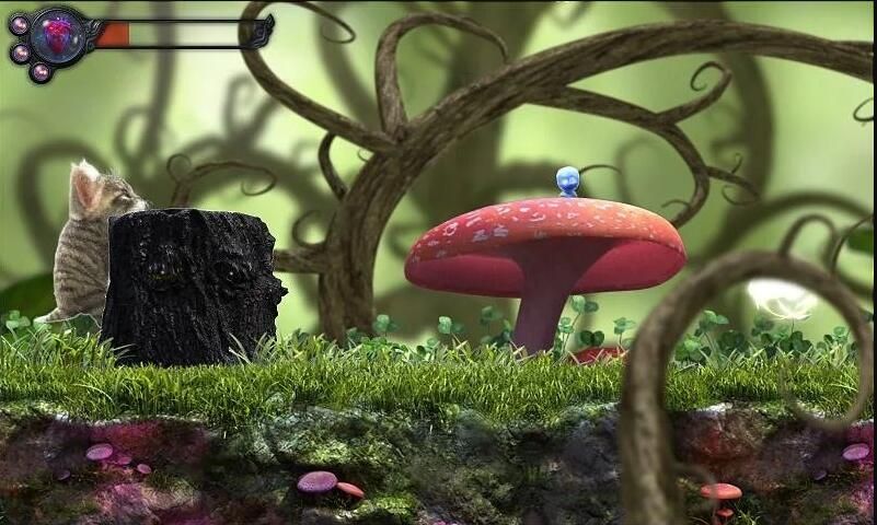 猫咪追寻安卓官方版最新