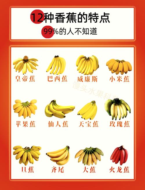 精品国产品香蕉在线