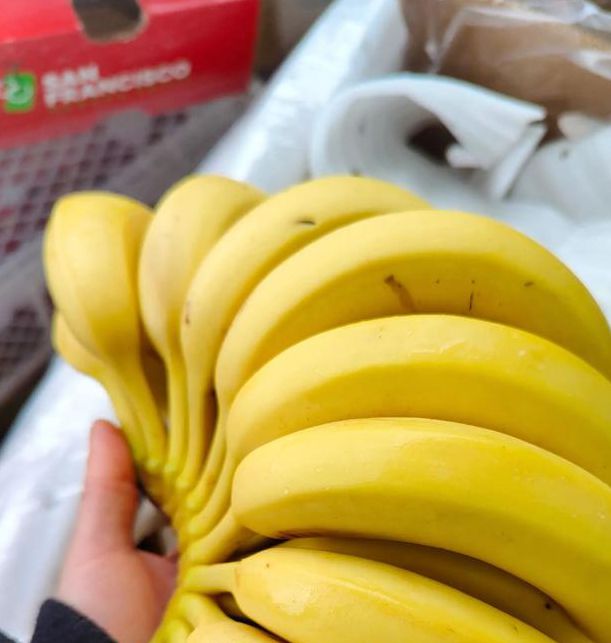 精品国产品香蕉在线