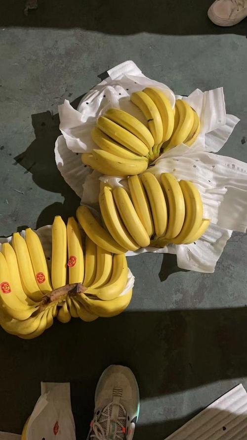 精品国产品香蕉在线