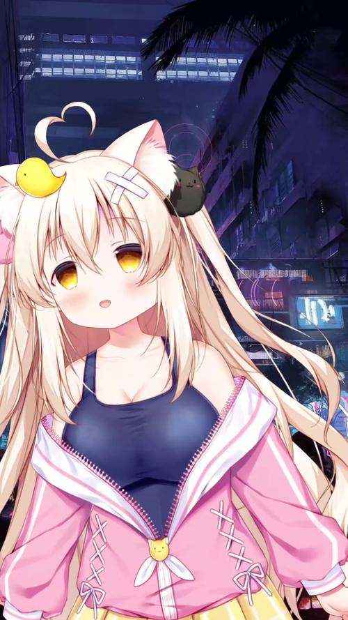 猫咪最新VIPapk污