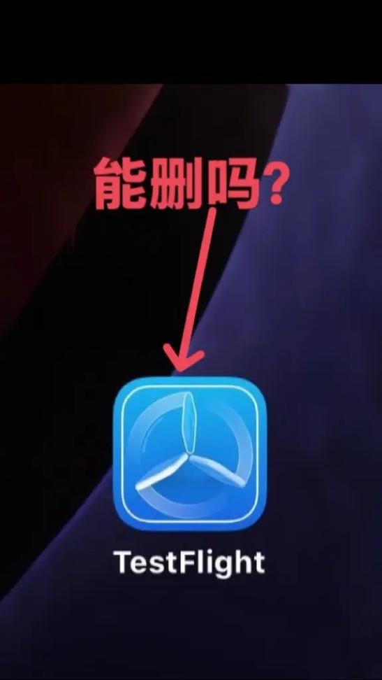 91抖音成长人版安装testflightios轻量版