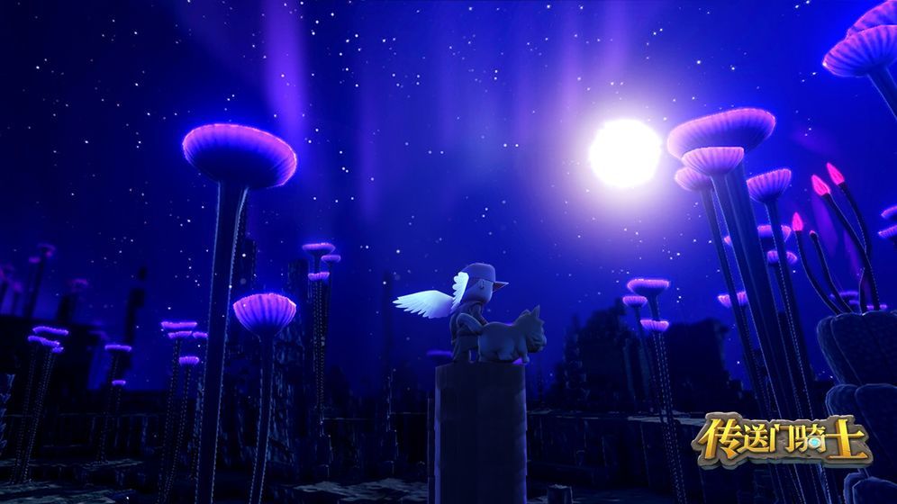 传送门骑士世界
