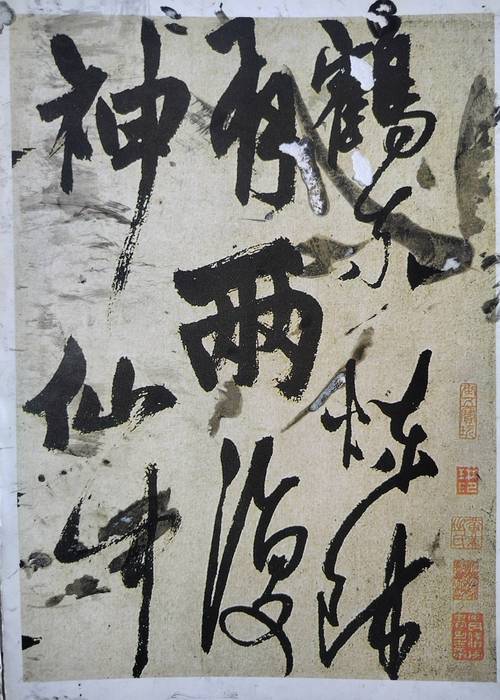 久章草在线影院免费视频