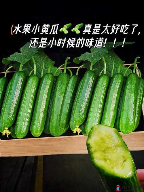 秋葵草莓香蕉樱桃黄瓜丝瓜榴莲