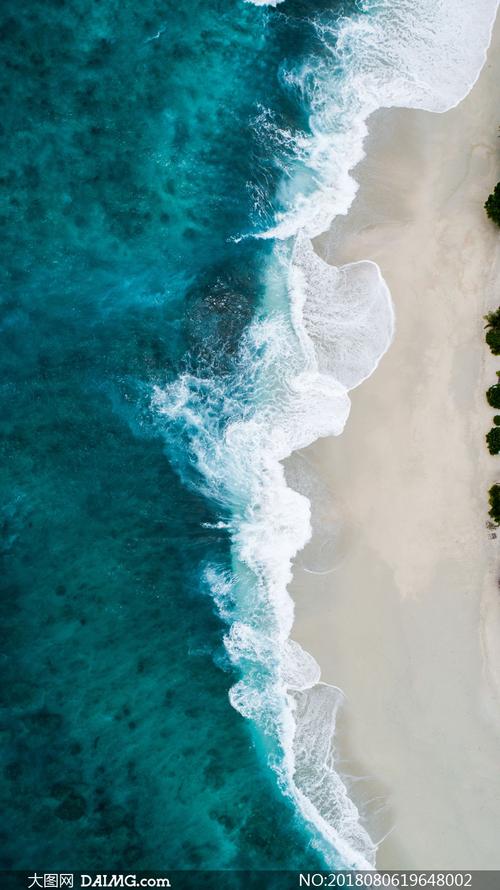 潮水社区免费下载