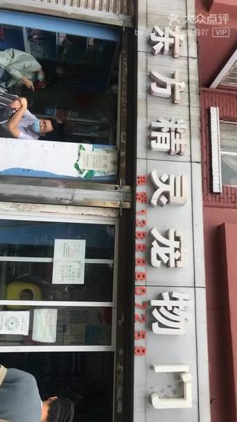 yw3121.龙物视频永不失联