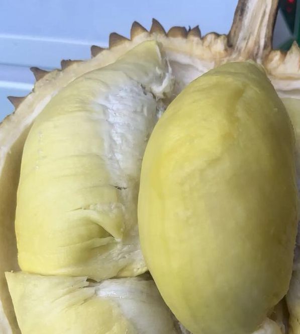 入妻中字榴莲视频