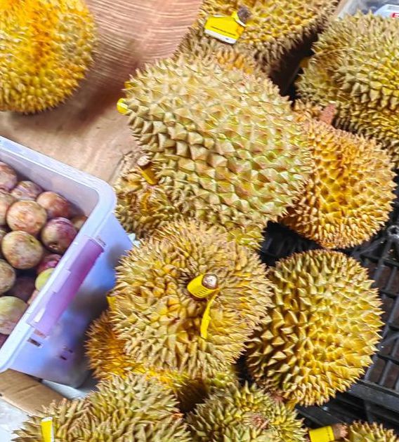 入妻中字榴莲视频