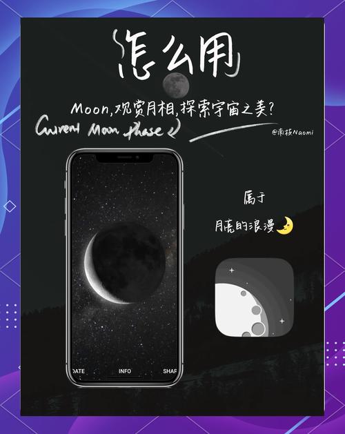 望月app直播软件下载