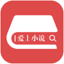 爱上小说免费版