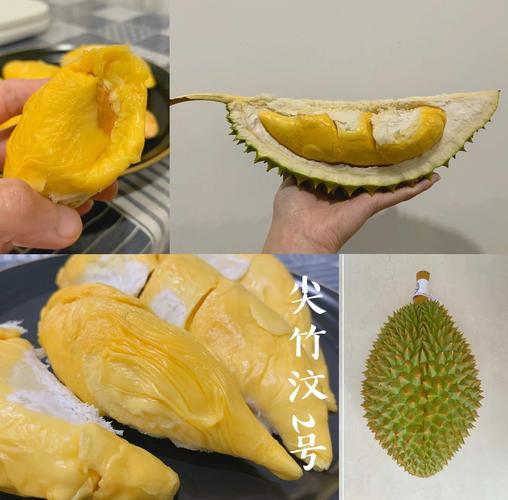 榴莲2.0_re.apk17.2m最新版