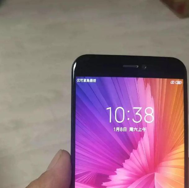 国产在线精品5c5c5c