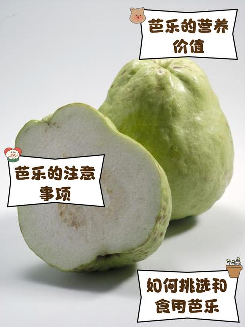 芭乐向日葵鸭脖小猪榴莲下载最新版